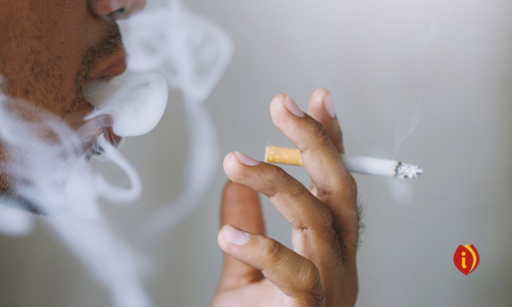 infoestancos - recaudación y consumo tabaco