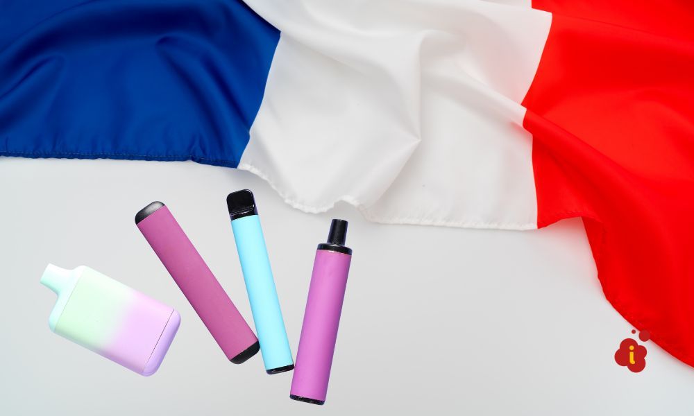 infoestancos - francia cigarrillos electrónicos desechables