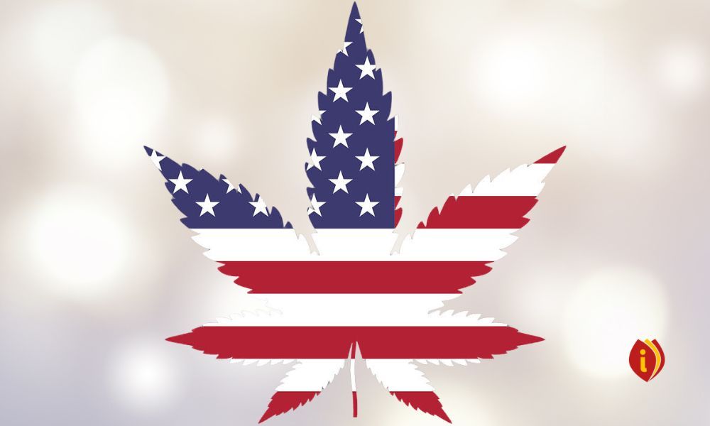 infoestancos - marihuana estados unidos
