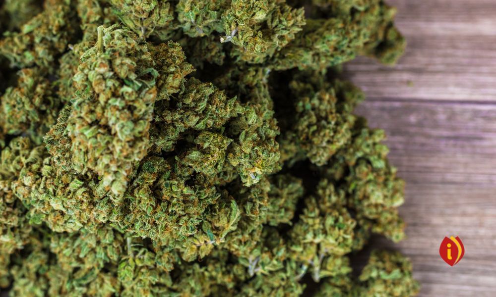 infoestancos - cbd condena absolución