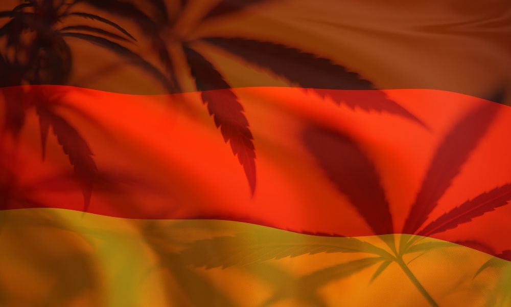 infoestancos - cannabis alemania