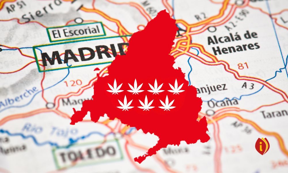 infoestancos - madrid cannabis