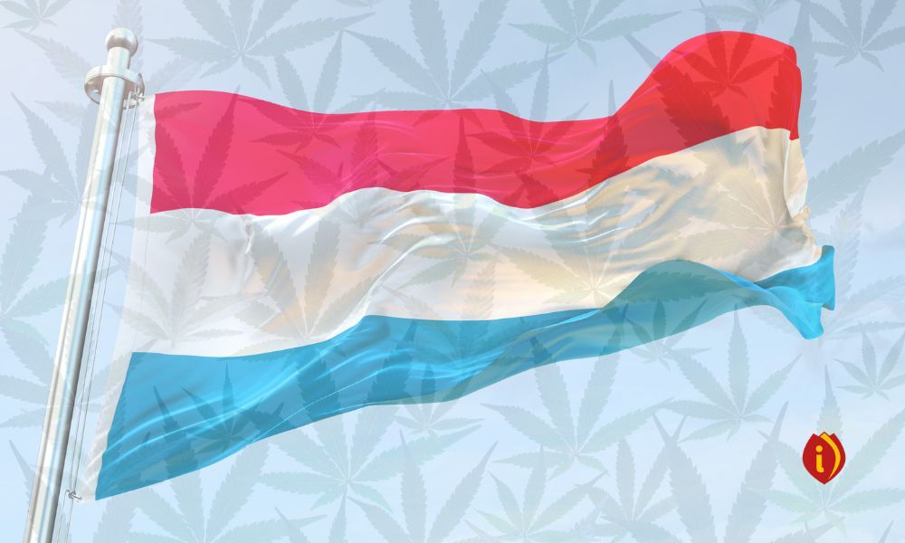 infoestancos - luxemburgo cannabis
