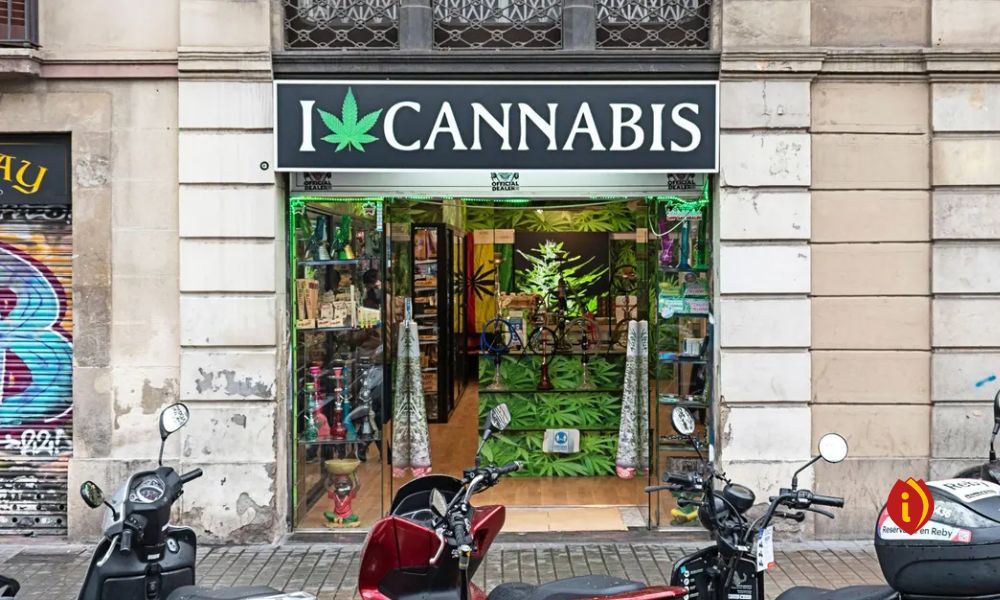 infoestancos - Estanco-floristería-marihuana