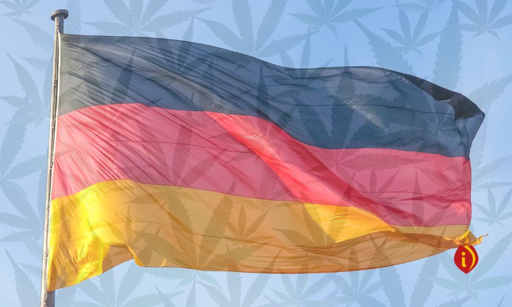 infoestancos - alemania cannabis